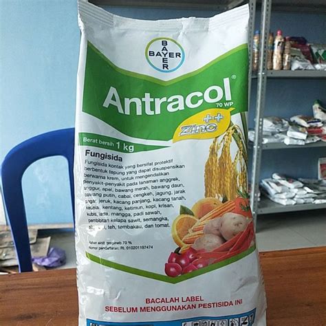 Jual Fungisida Antracol Wp Zinc Kemasan Kg Shopee Indonesia