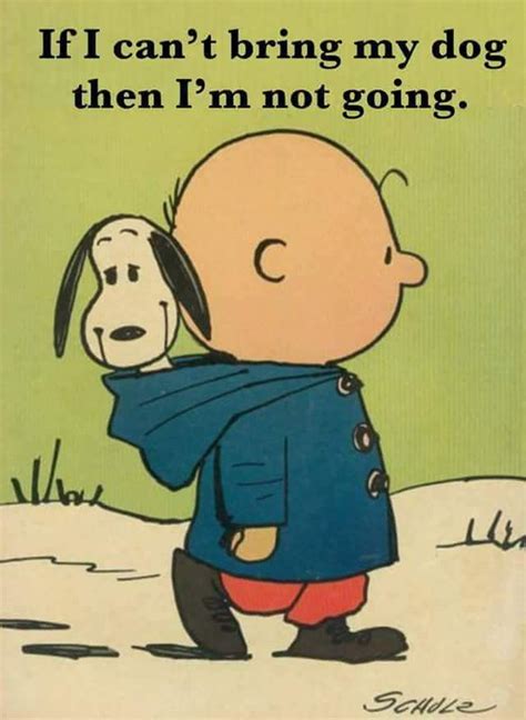 Pin By Debbie Petit Arndt On Peanuts Snoopy Snoopy Quotes Snoopy