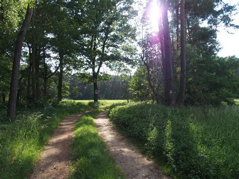 Erlebnis Landkreis F Rth Mittelfr Nkischer Jakobsweg