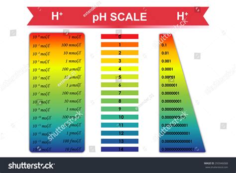 Ph Scale Hydrogen Ion Concentration