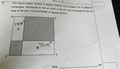 Solved Ans The Figure Below Shows A Square Wxyz It Is Divided