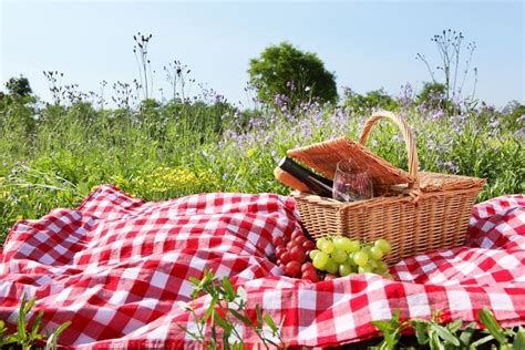 Fun Picnic Lunch Ideas for Two (+ Easy Recipes)