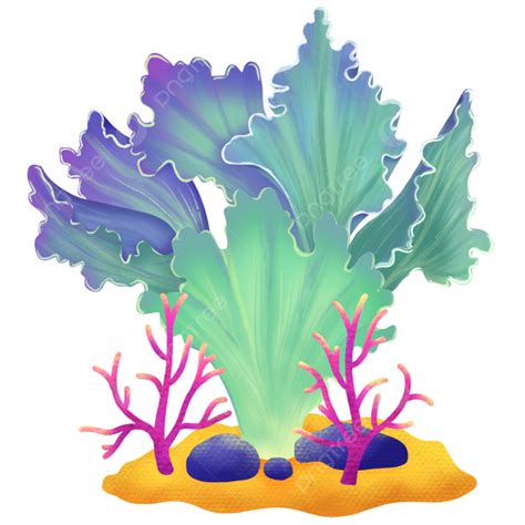 Coral Aquarium Clipart