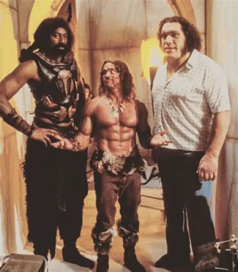 Arnold Schwarzenegger 6 2 260 Pounds With Wilt Chamberlain And Andre The Giant R Pics