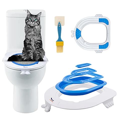 11 Amazing Cat Toilet Training Kit For 2023 Storables