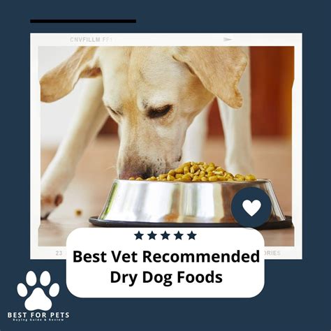 The 9 Best Vet Recommended Dry Dog Foods