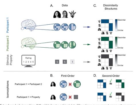 Figure 1 From Tools Of The Trade Multivoxel Pattern Analysis In FMRI A