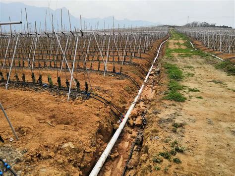 Agricultural Farm 16mm Cylindrical Drip Irrigation Pipe Ldpe Drip Tube