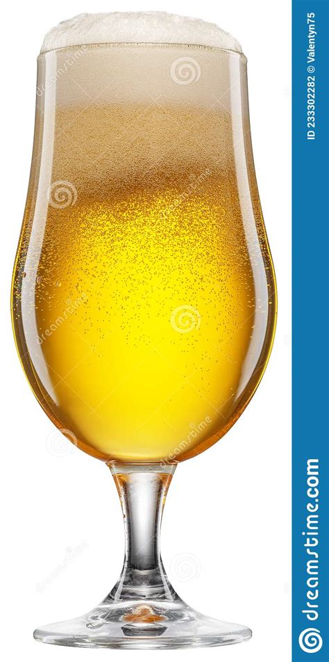 Tulip Glass Of Cold Beer With White Foam And Gas Bubbles Inside File