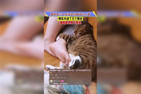 猫咪和主人竞争谁的脚背在上面，相互大战了几个回合