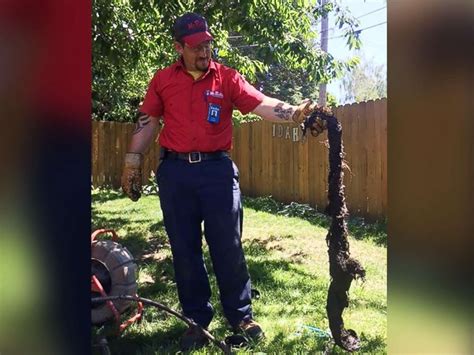 Weird Things Plumbers Have Found While Working Abc News