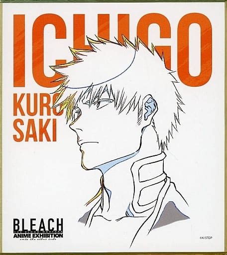 駿河屋 黒崎一護 「bleach ブリーチ 千年血戦篇 Anime Exhibition Into The Other Side ミニ