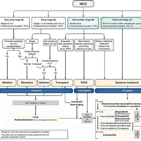 Barcelona Clinic Liver Cancer Bclc Staging Treatment Strategy And Download Scientific