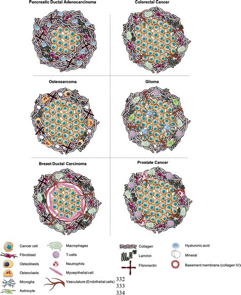 Frontiers 3d Cancer Models The Need For A Complex Stroma