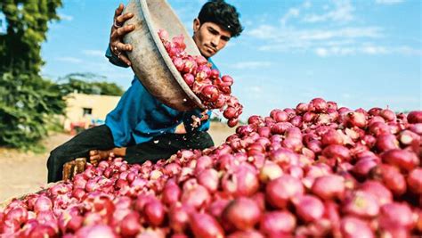 Centre Permits Tonnes Of Onion Export To Uae Bangladesh Today