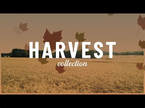 Harvest Collection Cody Duck Worshiphouse Media