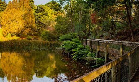 Emerald Lake Park | Emerald – Cardinia Outdoors