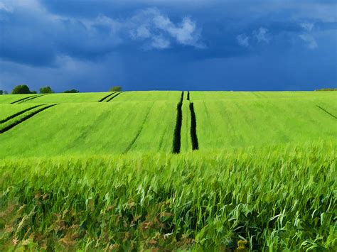 Green Grass Field With Dramatic Beautiful Sky Background Photograph By Ron Zmiri