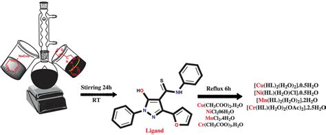 Synthetic Strategy For Ligand H2l And Its Investigated Complexes 14