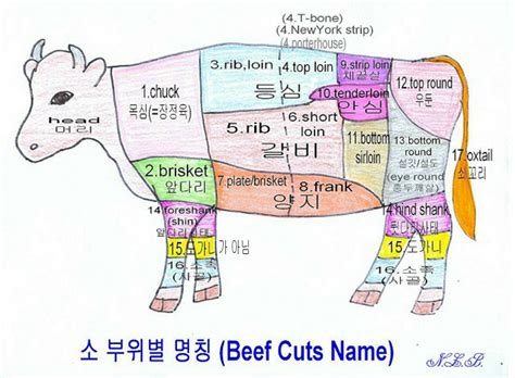 cookbook beolnara cookbook beef cuts names