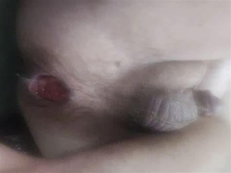 Bear Gay Porn Pics Nude Men In Free Sex Photos XHamster