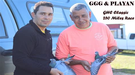 Pigeon Racing Ggg Playan Ghc Classic Miles Youtube