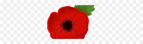 Anzac Poppy Png Png Image - Poppy PNG - FlyClipart