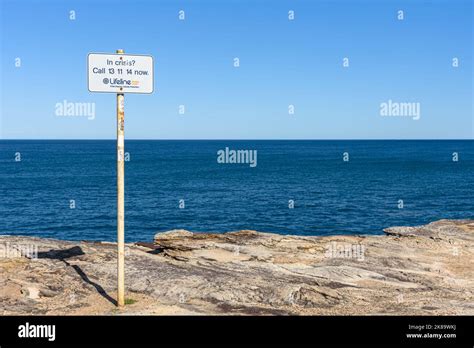 sign   lifeline suicide prevention crisis hotline   shark