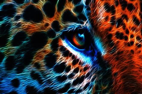 Big Cat Look By Megaossa On Deviantart