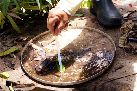 Prefeitura alerta para aumento da dengue no período chuvoso