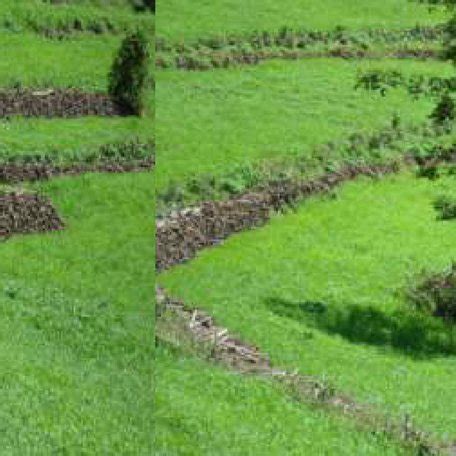 Traditional Stone Bunds On Farms In West Haraghe Mesela District East