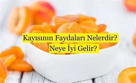 Kayısının Faydaları Nelerdir Neye İyi Gelir Güzel Bilgiler