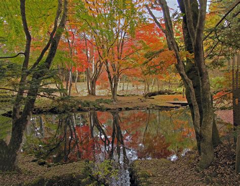 雲場の池の紅葉