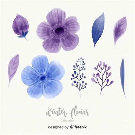 Colecci N De Flores De Invierno En Acuarela Vector Gratis