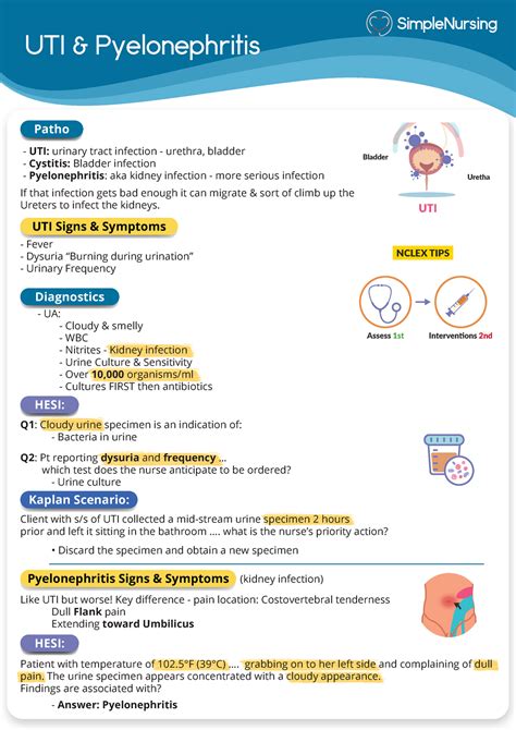 UTI Pyelonephritis 1 Easy Summary From Simple Nursing On Kidneys