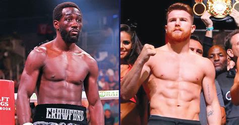 Canelo Alvarez Makes Major U-Turn On Terence Crawford Fight As ...