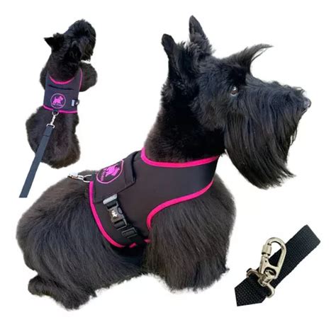 Peitoral Coleira Guia Pet Cachorro Colete Neoprene 2 Até 4kg Cor