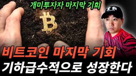 비트코인 2024년 무섭게 오를 겁니다 지금부터 조금씩 사 모으세요 트레이더박 Youtube