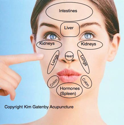 Chinese Face Mapping & Face Diagnosis | Acupuncture St Leonards & Dural