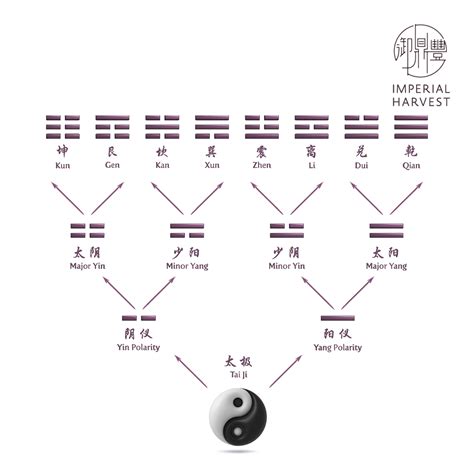 Fundamentals Of Xuan Kong Da Gua Date Selection 玄空大卦 Imperial Harvest