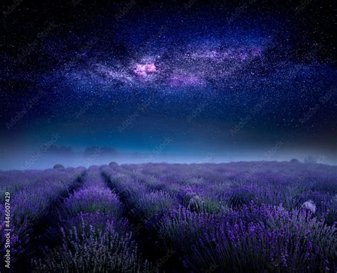 Lavender flowering field and starry sky with milky way, beautiful ...