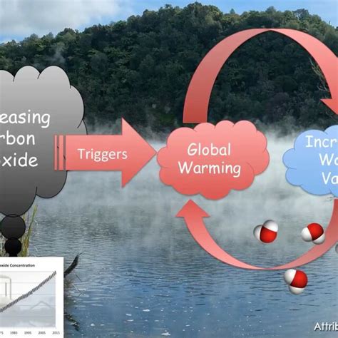 Un Esempio Di Retroazione Positiva Le Emissioni Di Anidride Carbonica