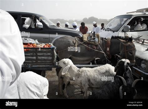 Nile river crossing at Dongola Stock Photo - Alamy