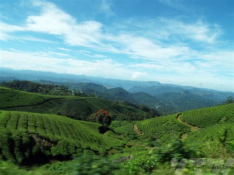 Places To Visit In Munnar Kerala Very Tasty World