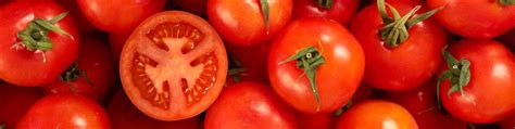 Продажа помидоров оптом и в розницу в СПБ | Мы рады приветствовать вас ...