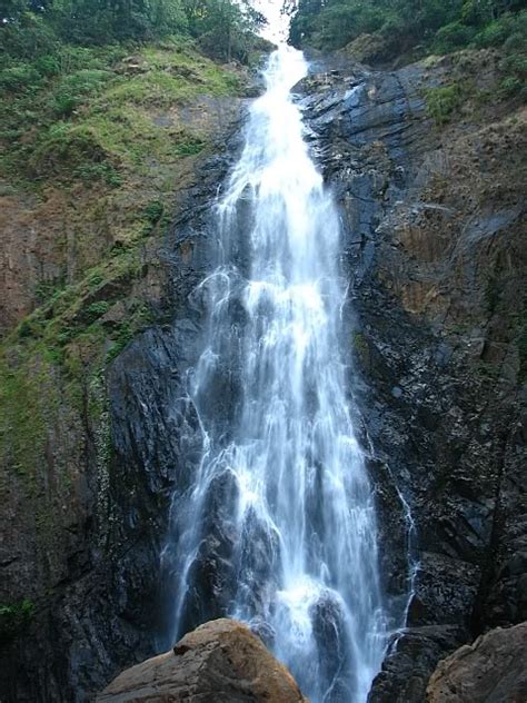 Dabbe Falls | Waterfalls in Shimoga | Shimoga