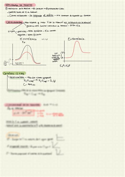 Solution Cinetica Quimica Studypool