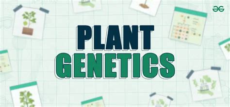 Plant Genetics - History, Properties & Importance