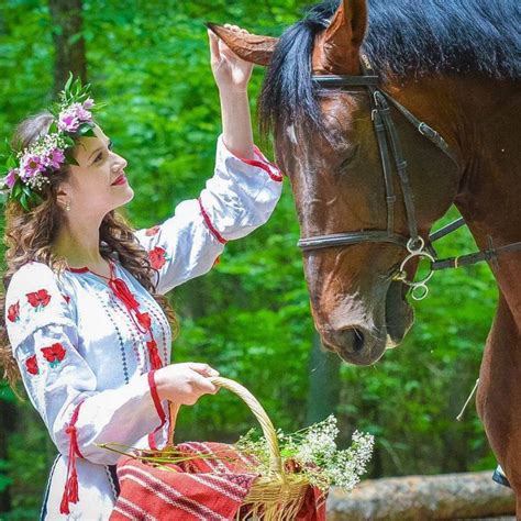 Haine Traditionale Horses Animals