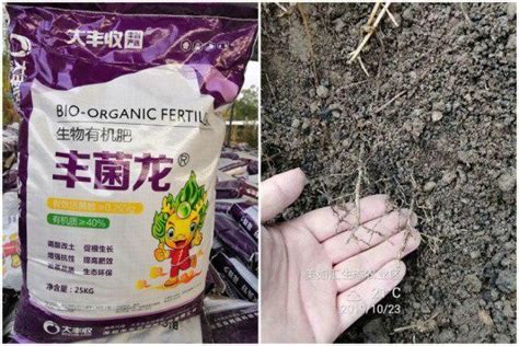 2020中国有机肥十大知名品牌新鲜出炉，丰菌龙生物有机肥排名第二凤凰网山东凤凰网